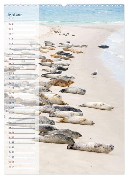 Produktbild: Maritim - Geburtstagskalender (Wandkalender 2026 DIN A2 hoch), CALVENDO Monatskalender