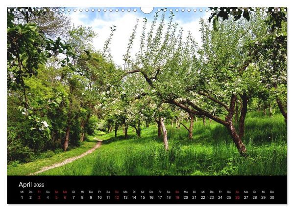 Produktbild: Pl&ouml;n - die Stadt am See (Wandkalender 2026 DIN A3 quer), CALVENDO Monatskalender