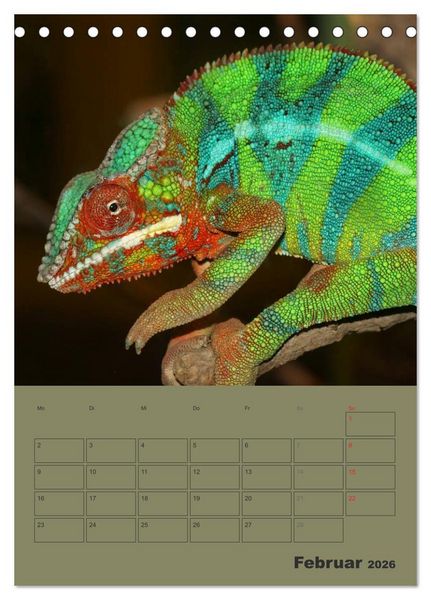 Produktbild: Minidrachen - Die kleinen Nachkommen der Urzeitmonster (Tischkalender 2026 DIN A5 hoch), CALVENDO Monatskalender