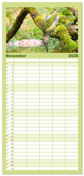 Produktbild: Familienplaner 2026 - V&ouml;gel in unserer Heimat: Kiebitz, Wiedehopf und Turteltaube mit 5 Spalten (Wandkalender, 21 x 45 cm) CALVENDO