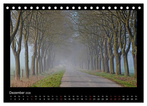 Produktbild: M&auml;rchenhafter Reinhardswald und Urwald Sababurg (Tischkalender 2026 DIN A5 quer), CALVENDO Monatskalender