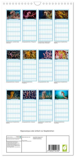 Produktbild: Familienplaner 2026 - Hippocampus oder einfach nur Seepferdchen mit 5 Spalten (Wandkalender, 21 x 45 cm) CALVENDO