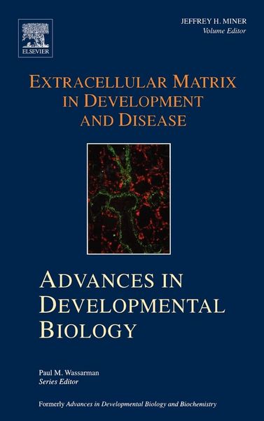 Produktbild: Extracellular Matrix in Development and Disease