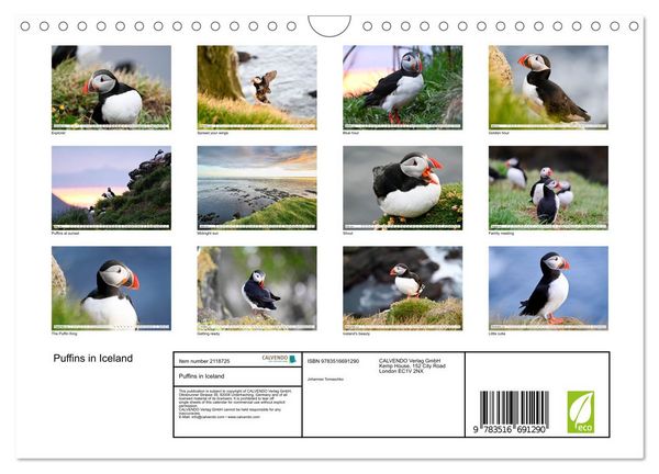Produktbild: Puffins in Iceland (Wall Calendar 2026 DIN A4 landscape), CALVENDO 12 Month Wall Calendar