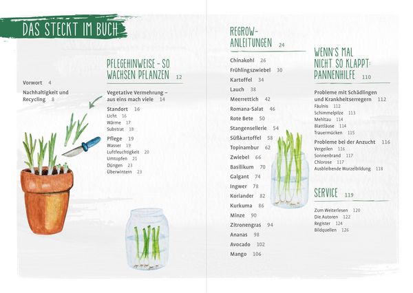 Produktbild: Regrow your veggies