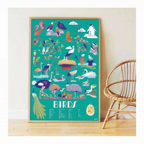 Produktbild: POPPIK - Lernposter & Sticker V&ouml;gel