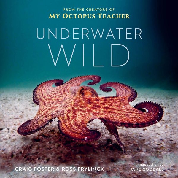 Produktbild: Underwater Wild