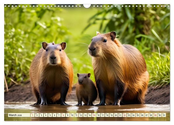 Produktbild: South America's impressive wildlife (Wall Calendar 2026 DIN A3 landscape), CALVENDO 12 Month Wall Calendar