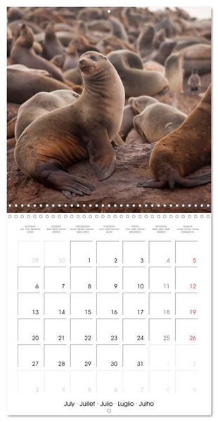 Produktbild: California - USA (Wall Calendar 2026 12 &times; 12 Inch) CALVENDO 12 Month Wall Calendar