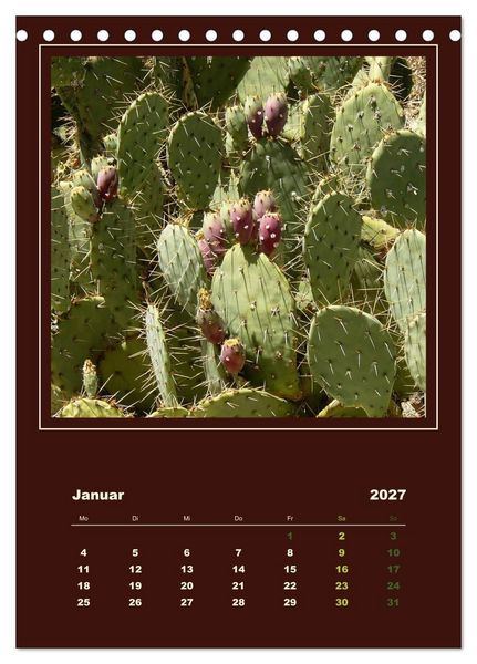 Produktbild: Wilde Kakteen Amerikas (Tischkalender 2027 DIN A5 hoch), CALVENDO Monatskalender