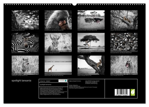 Produktbild: spotlight tansania (hochwertiger Premium Wandkalender 2026 DIN A2 quer), Kunstdruck in Hochglanz