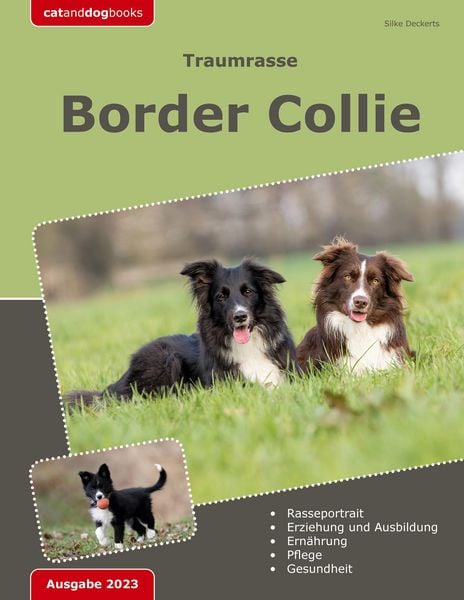 Produktbild: Traumrasse: Border Collie