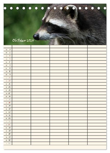 Produktbild: Waschb&auml;ren Familienplaner (Tischkalender 2026 DIN A5 hoch), CALVENDO Monatskalender
