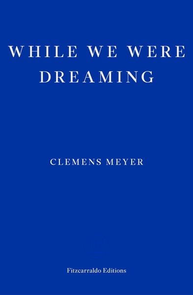 Produktbild: While We Were Dreaming