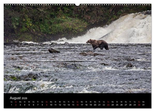 Produktbild: FASZINATION ALASKA Expedition durch die Inside Passage (hochwertiger Premium Wandkalender 2026 DIN A2 quer), Kunstdruck in Hochglanz