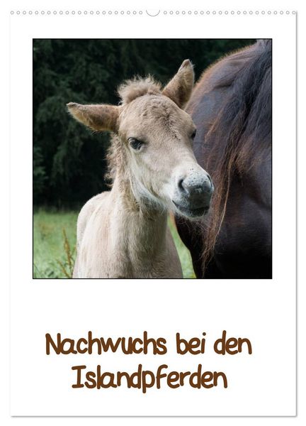 Produktbild: Nachwuchs bei den Islandpferden (Wandkalender 2026 DIN A2 hoch), CALVENDO Monatskalender