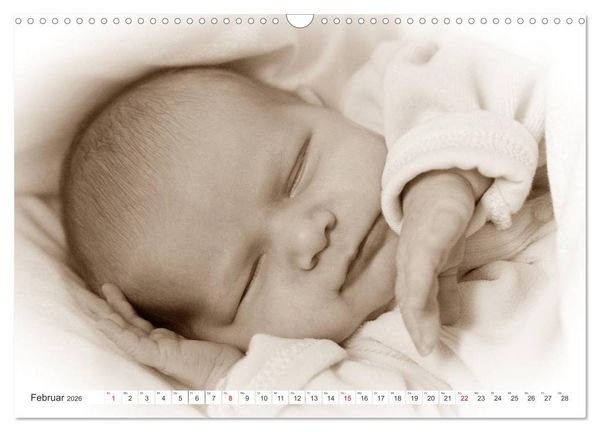 Produktbild: Babys - Willkommen im Leben (Wandkalender 2026 DIN A3 quer), CALVENDO Monatskalender