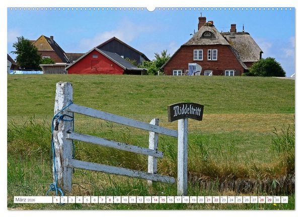 Produktbild: Sommertage auf Hallig Hooge (hochwertiger Premium Wandkalender 2026 DIN A2 quer), Kunstdruck in Hochglanz