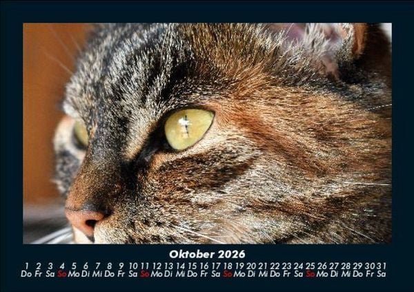 Produktbild: Tiere auf dem Bauernhof 2026 Fotokalender DIN A5