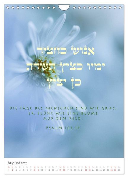 Produktbild: Psalmen Tehilim Hebr&auml;isch - Deutsch (Wandkalender 2026 DIN A4 hoch), CALVENDO Monatskalender