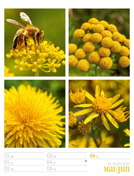 Produktbild: Farben der Natur Wochenplaner Kalender 2027
