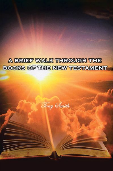 Produktbild: A Brief Walk through the Books of the New Testament
