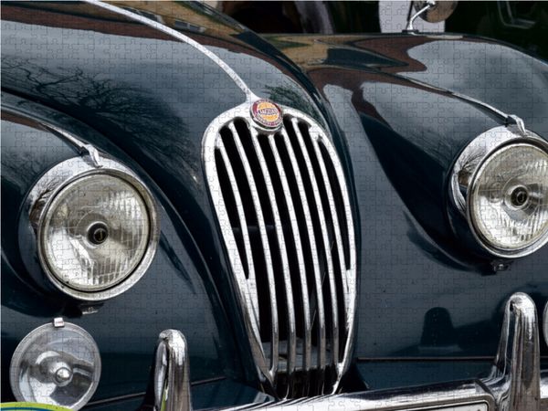 Produktbild: CALVENDO Puzzle K&uuml;hlergrill Jaguar 1000 Teile Lege-Gr&ouml;&szlig;e 64 x 48 cm Foto-Puzzle Bild von Karin Sigwarth