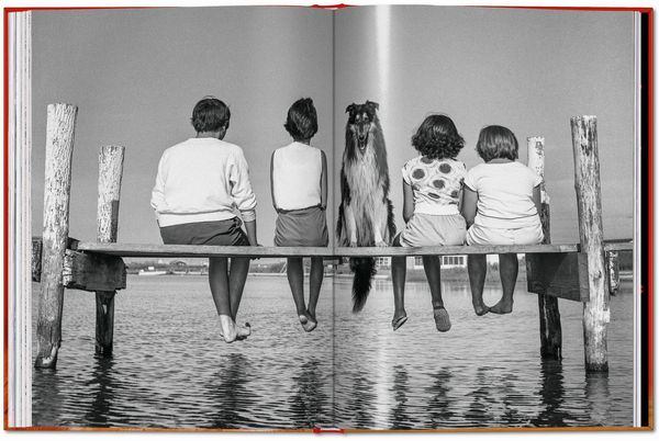 Produktbild: Walter Chandoha. Dogs. Photographs 1941&ndash;1991