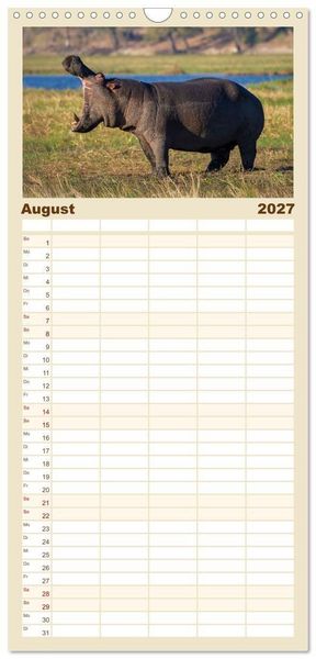 Produktbild: Familienplaner 2027 - Hippos - Gef&auml;hrliche Giganten mit 5 Spalten (Wandkalender, 21 x 45 cm) CALVENDO