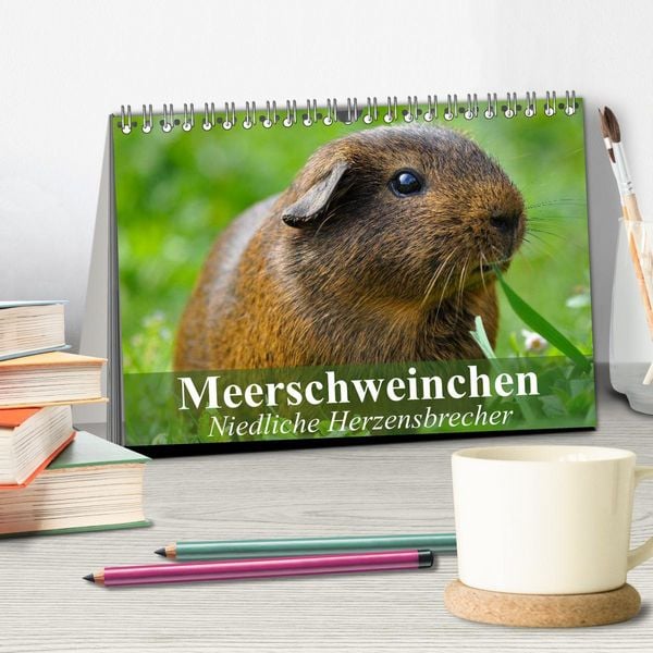 Produktbild: Meerschweinchen Niedliche Herzensbrecher (Tischkalender 2026 DIN A5 quer), CALVENDO Monatskalender