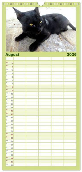 Produktbild: Familienplaner 2026 - SAMTPFOTEN "fellnah" mit 5 Spalten (Wandkalender, 21 x 45 cm) CALVENDO