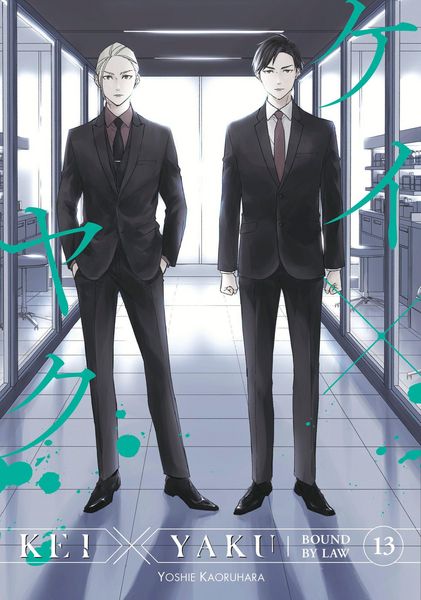 Produktbild: Kei X Yaku: Bound by Law 13