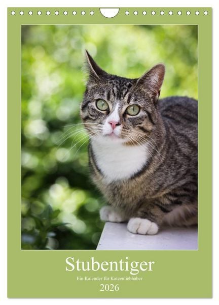 Produktbild: Stubentiger (Wandkalender 2026 DIN A4 hoch), CALVENDO Monatskalender