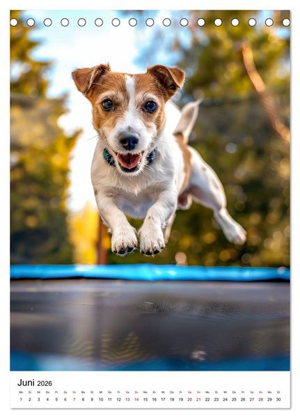 Produktbild: Hunde haben Spa&szlig; (Tischkalender 2026 DIN A5 hoch), CALVENDO Monatskalender