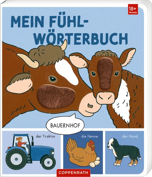 Produktbild: Mein erstes F&uuml;hl-W&ouml;rterbuch