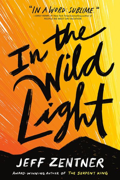 Produktbild: In the Wild Light
