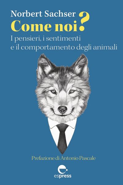 Produktbild: Come noi?