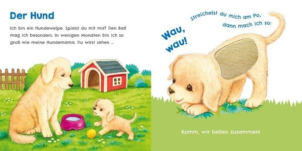 Produktbild: H&ouml;r mal, wie ich miauen kann (Mein erstes Streichel-Soundbuch 2)