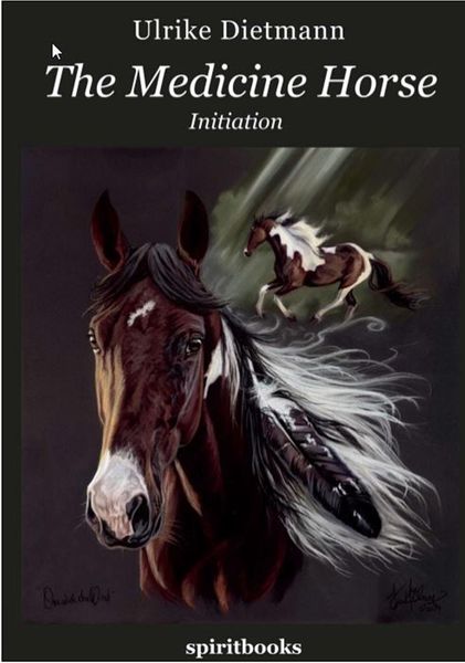 Produktbild: The Medicine Horse