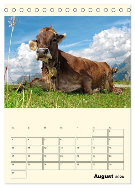 Produktbild: Gl&uuml;ckliche Bergk&uuml;he (Tischkalender 2026 DIN A5 hoch), CALVENDO Monatskalender