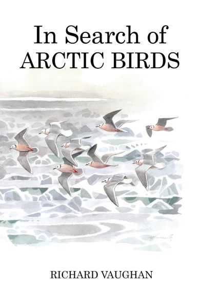 Produktbild: In Search of Arctic Birds