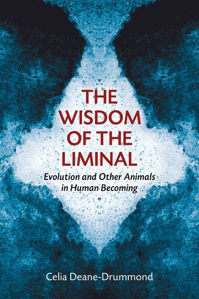 Produktbild: The Wisdom of the Liminal
