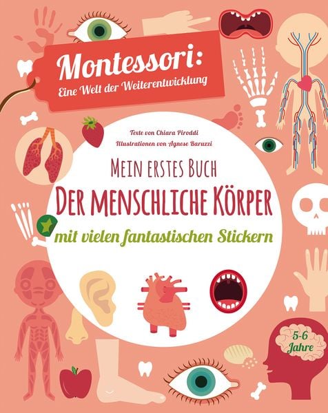 Produktbild: Mein erstes Buch: Der menschliche K&ouml;rper