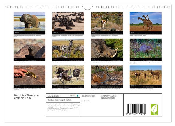 Produktbild: Namibias Tiere: von gro&szlig; bis klein (Wandkalender 2026 DIN A4 quer), CALVENDO Monatskalender