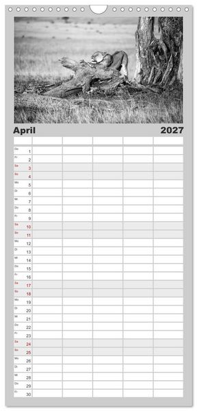 Produktbild: Familienplaner 2027 - Afrika Schwarz - Weiss mit 5 Spalten (Wandkalender, 21 x 45 cm) CALVENDO