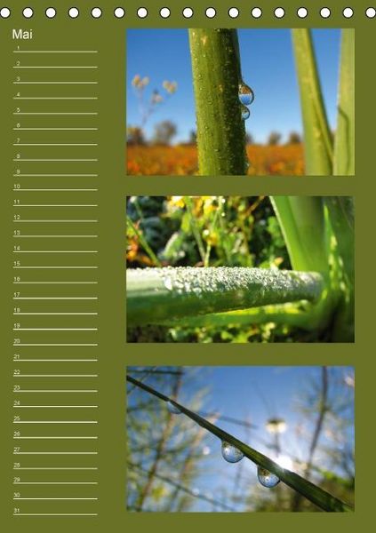 Produktbild: Zauberwelt der Blumen - Eiskristalle & Wasserperlen / Geburtstagskalender (Tischkalender immerw&auml;hrend DIN A5 hoch)