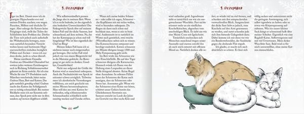 Produktbild: Pfoten vom Tannenbaum