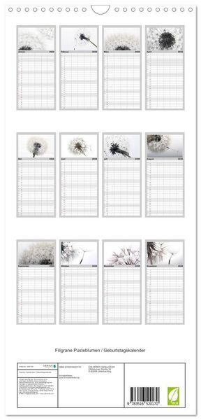 Produktbild: Familienplaner 2026 - Filigrane Pusteblumen / Geburtstagskalender mit 5 Spalten (Wandkalender, 21 x 45 cm) CALVENDO