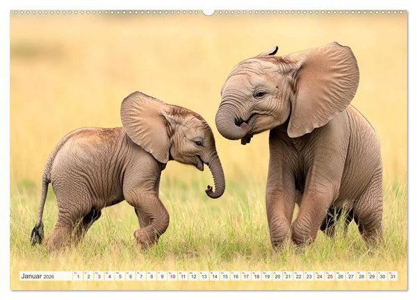 Produktbild: TIERKINDER Abenteuer Wildnis (Wandkalender 2026 DIN A2 quer), CALVENDO Monatskalender