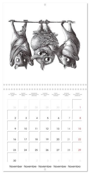 Produktbild: owls and mates 2026 (Wall Calendar 2026 12 &times; 12 Inch) CALVENDO 12 Month Wall Calendar
